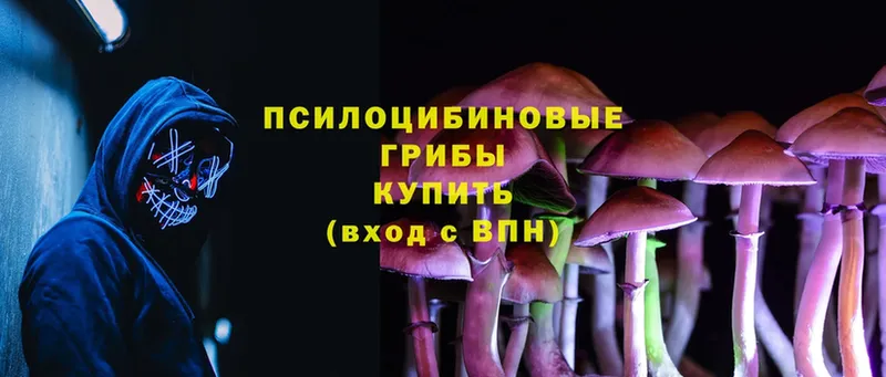 Псилоцибиновые грибы MAGIC MUSHROOMS  как найти наркотики  нарко площадка Telegram  Петропавловск-Камчатский 